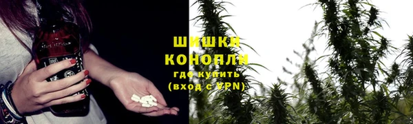 дживик Магас