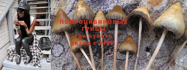 a pvp Мегион