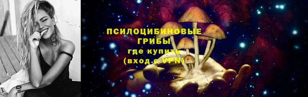 амф Майский