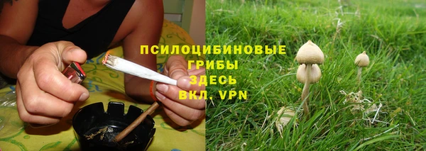 a pvp Мегион