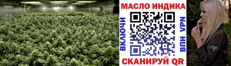 Купить  Кадников  ТГК жижа 