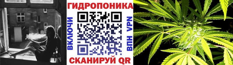 Конопля LSD WEED  Купить закладки  Кадников 